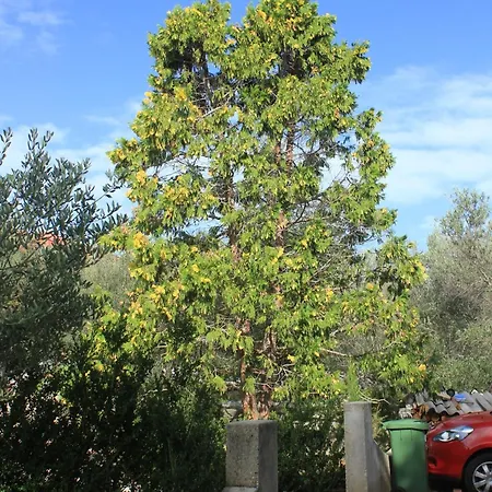 Mala Lamjana 827b Apartmán