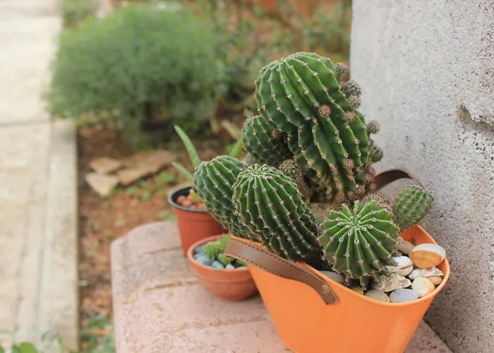 Apartment Mala Lamjana 827b *